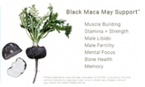 Organic Black Maca Root Capsules